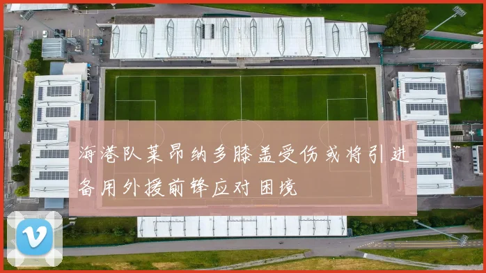 海港队莱昂纳多膝盖受伤或将引进备用外援前锋应对困境