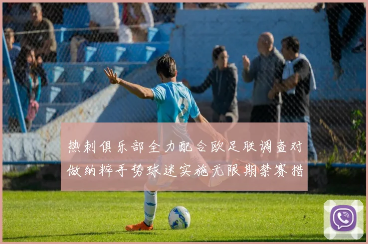 热刺俱乐部全力配合欧足联调查对做纳粹手势球迷实施无限期禁赛措施