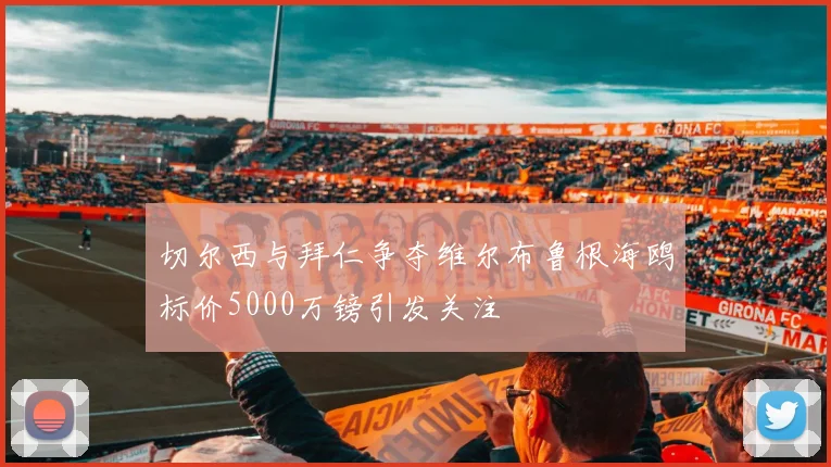 切尔西与拜仁争夺维尔布鲁根海鸥标价5000万镑引发关注